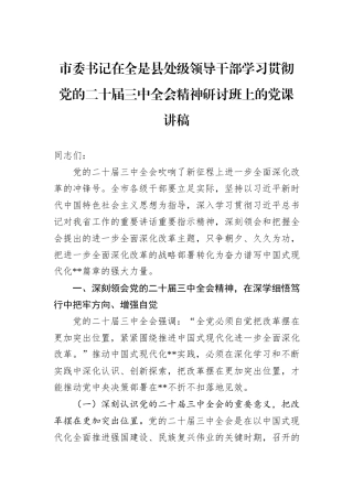 市委书记在全是县处级领导干部学习贯彻党的二十届三中全会精神研讨班上的党课讲稿