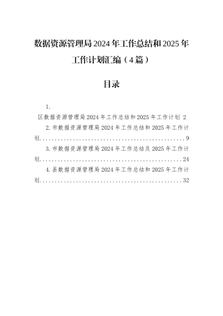 数据资源管理局2024年工作总结和2025年工作计划汇编（4篇）
