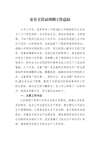 安全主管试用期工作总结