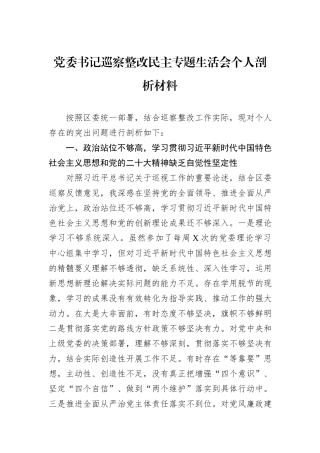 党委书记巡察整改民主专题生活会个人剖析材料