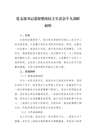 党支部书记巡察整改民主生活会个人剖析材料