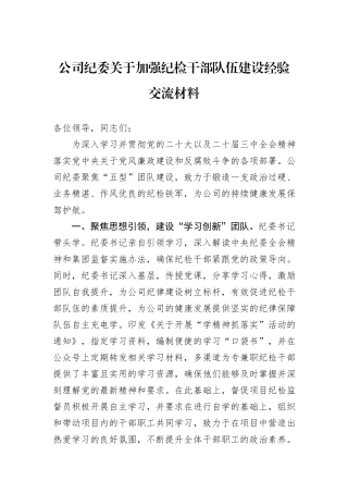 公司纪委关于加强纪检干部队伍建设经验交流材料