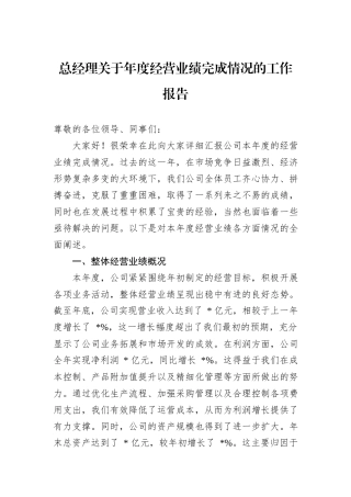 总经理关于年度经营业绩完成情况的工作报告