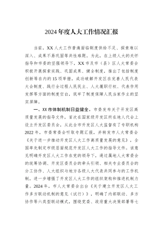 2024年度人大工作情况汇报