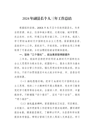 2024年副县长个人三年工作总结