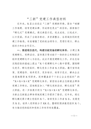 “三新”党建工作典型材料