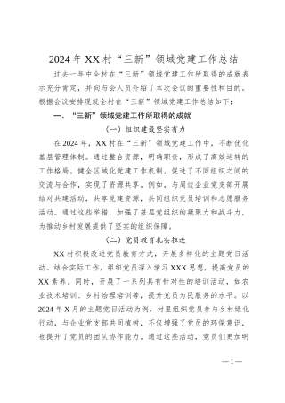 2024 年 XX 村“三新”领域党建工作总结