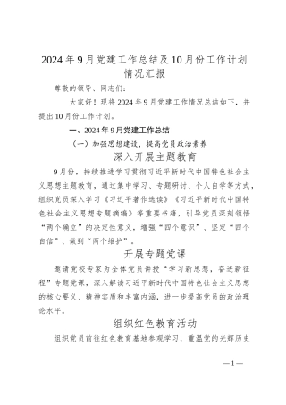 2024年9月党建工作总结及 10月份工作计划情况汇报
