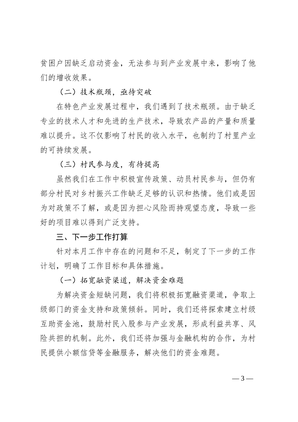 2024年10月份驻村工作月总结_第3页