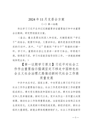 2024年11月支委会方案