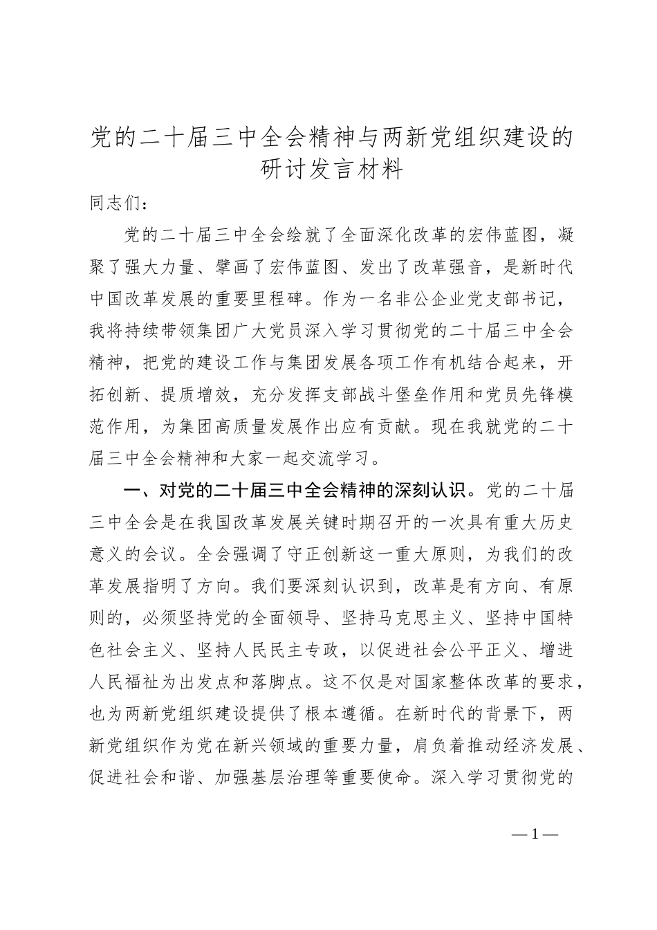 党的二十届三中全会精神与两新党组织建设的研讨发言材料_第1页