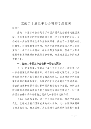 党的二十届三中全会精神专题党课