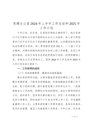 党建办公室2024年上半年工作总结和2025年工作计划