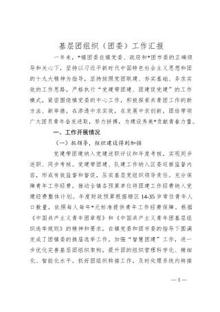 基层团组织（团委）工作汇报