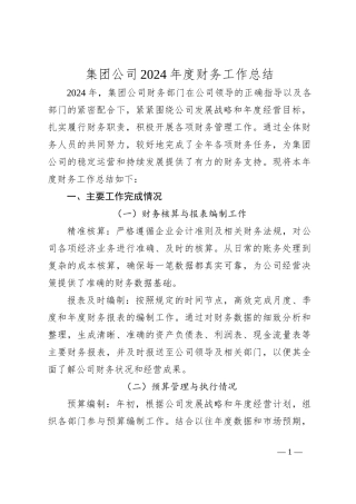 集团公司2024年度财务工作总结