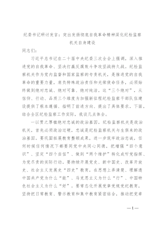 纪委书记研讨发言：突出发扬彻底自我革命精神 深化纪检监察机关自身建设