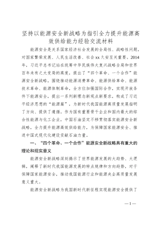 坚持以能源安全新战略为指引全力提升能源高效供给能力经验交流材料