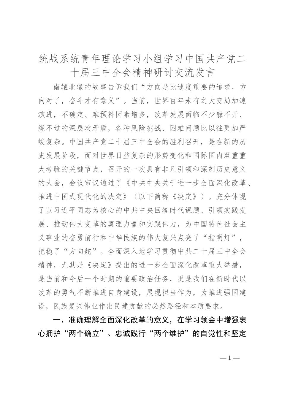 统战系统青年理论学习小组学习中国共产党二十届三中全会精神研讨交流发言_第1页