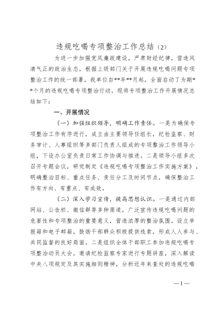 违规吃喝专项整治工作总结（2）