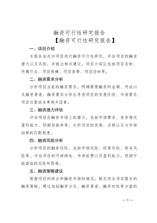 融资可行性研究报告