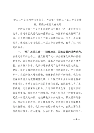 学习三中全会精神心得体会：“四悟”党的二十届三中全会精神，照亮乡镇党员奋进路