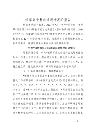 巡察集中整改进展情况的报告
