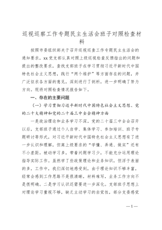 巡视巡察工作专题民主生活会班子对照检查材料