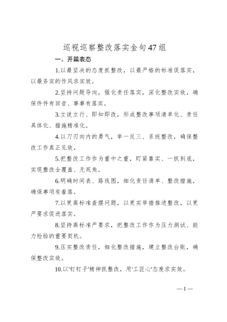 巡视巡察整改落实金句47组