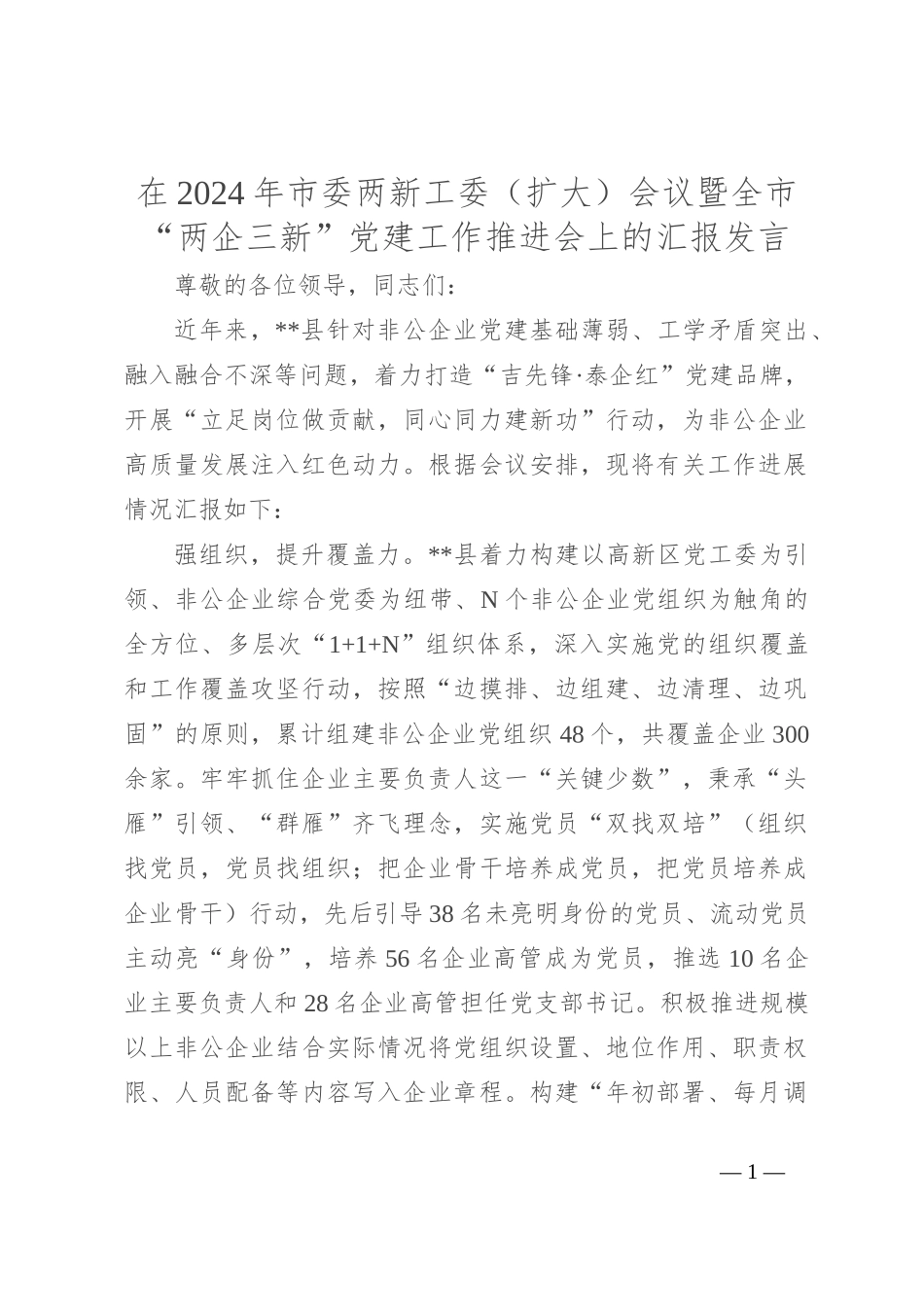 在2024年市委两新工委（扩大）会议暨全市“两企三新”党建工作推进会上的汇报发言_第1页