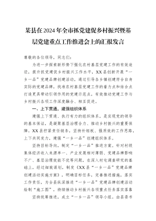 某县在2024年全市抓党建促乡村振兴暨基层党建重点工作推进会上的汇报发言
