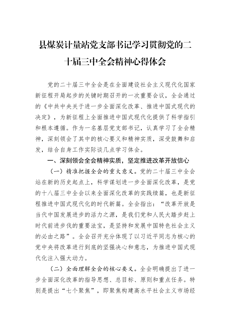 县煤炭计量站党支部书记学习贯彻党的二十届三中全会精神心得体会_第1页