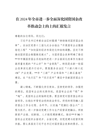 在2024年全市进一步全面深化国资国企改革推动会上的上的汇报发言
