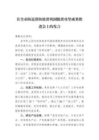 在全市防返贫防致贫巩固脱贫攻坚成果推进会上的发言