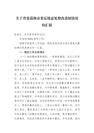 关于省委巡视市委反馈意见整改进展情况的汇报