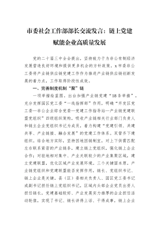 市委社会工作部部长交流发言：链上党建赋能企业高质量发展