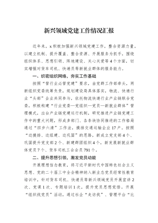 新兴领域党建工作情况汇报