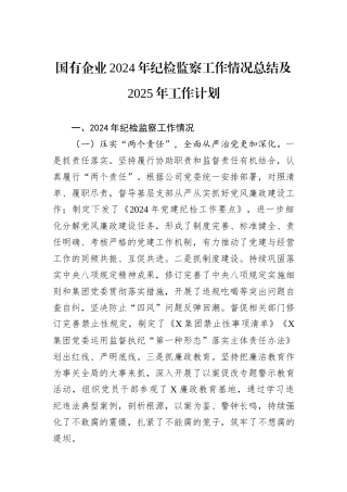 国有企业2024年纪检监察工作情况总结及2025年工作计划