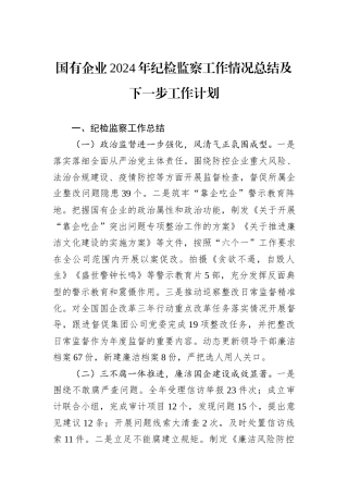 国有企业2024年纪检监察工作情况总结及下一步工作计划