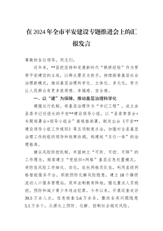 在2024年全市平安建设专题推进会上的汇报发言