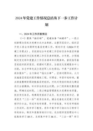 2024年党建工作情况总结及下一步工作计划