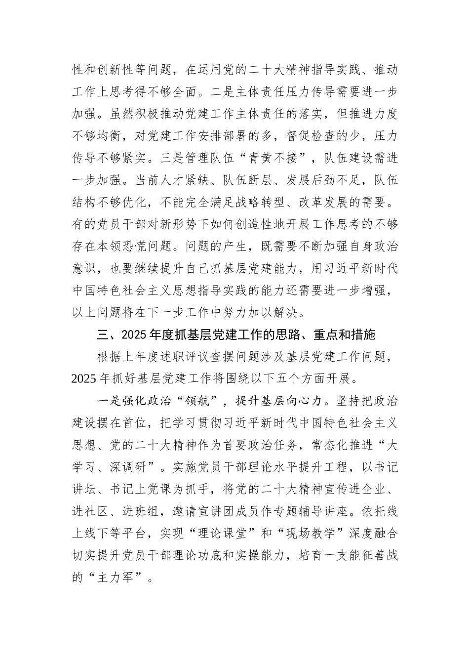 2024年抓基层党建述职报告_第3页