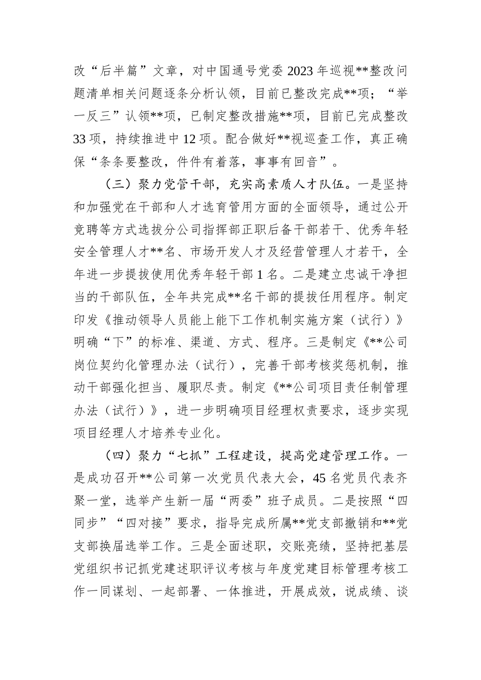 公司党委关于2024年工作总结及2025年工作计划_第3页