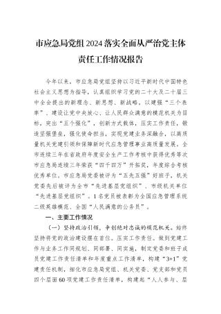 市应急局党组2024落实全面从严治党主体责任工作情况报告