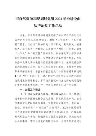 市自然资源和规划局党组2024年推进全面从严治党工作总结