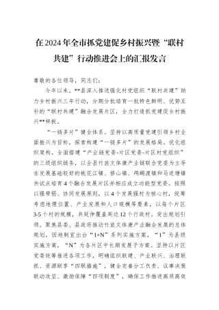 在2024年全市抓党建促乡村振兴暨“联村共建”行动推进会上的汇报发言