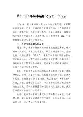 某市2024年城市精细化管理工作报告