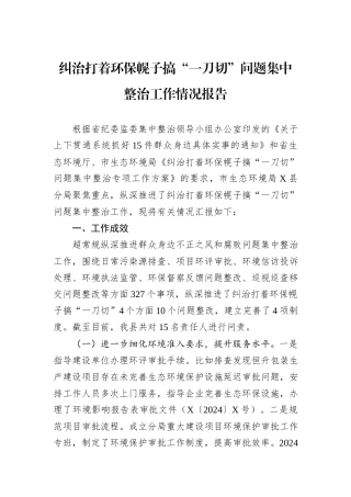 纠治打着环保幌子搞“一刀切”问题集中整治工作情况报告