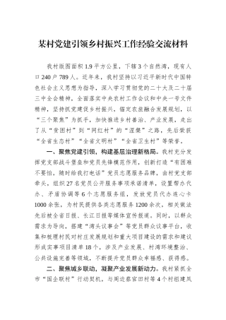 某村党建引领乡村振兴工作经验交流材料