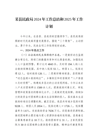 某县民政局2024年工作总结和2025年工作计划