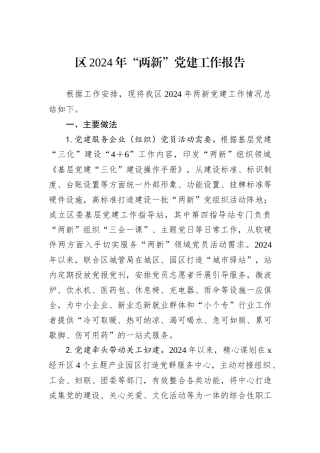 区2024年“两新”党建工作报告